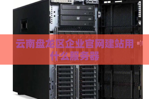 云南盘龙区企业官网建站用什么服务器