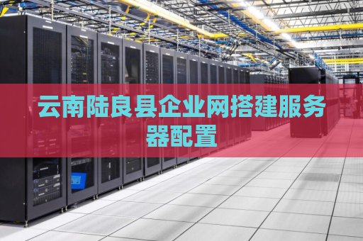 云南陆良县企业网搭建服务器配置