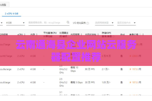 云南通海县企业网站云服务器配置推荐