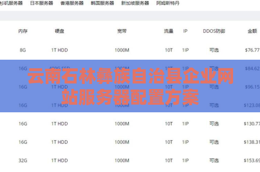 云南石林彝族自治县企业网站服务器配置方案