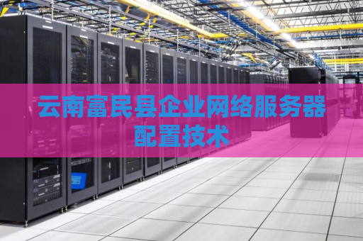 云南富民县企业网络服务器配置技术