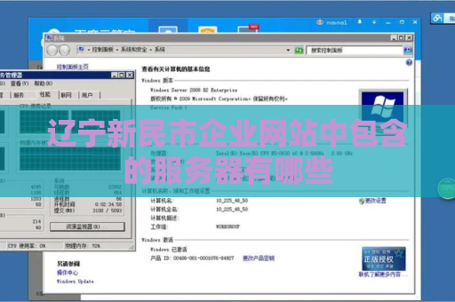 辽宁新民市企业网站中包含的服务器有哪些