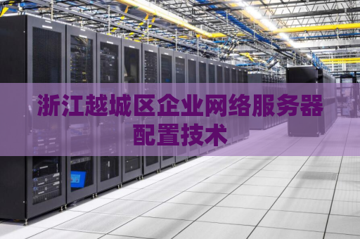 浙江越城区企业网络服务器配置技术