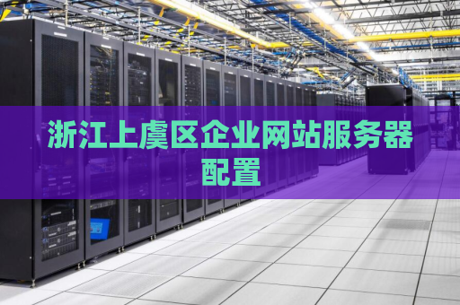 浙江上虞区企业网站服务器配置