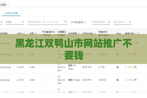 黑龙江双鸭山市网站推广不要钱